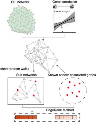 Integration of Protein-Protein Interaction Networks and Gene Expression Profiles Helps Detect Pancreatic Adenocarcinoma Candidate Genes